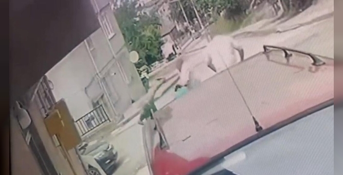 Kan donduran cinayet: Kardeş katliamı zanlısı polise teslim oldu