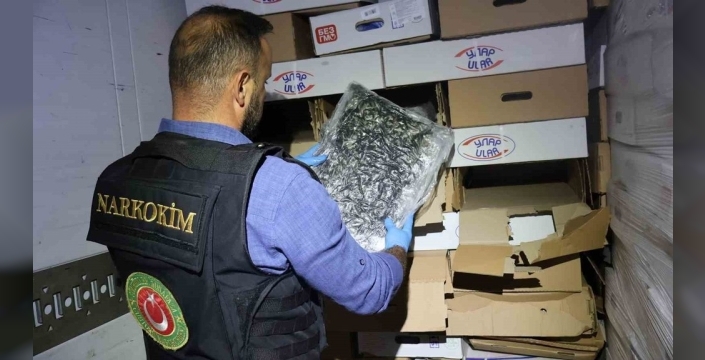 Kapıkule'de tavuk kolilerinden uyuşturucu çıktı: 526 kilo esrar ele geçirildi