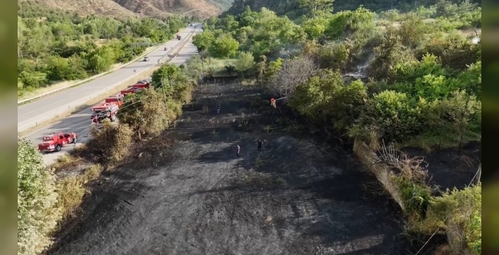 Karabük'te jandarma, yangından kaplumbağa ve yavrularını kurtardı