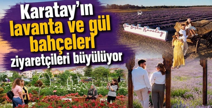 Karatay'ın lavanta ve gül bahçeleri ziyaretçileri büyülüyor