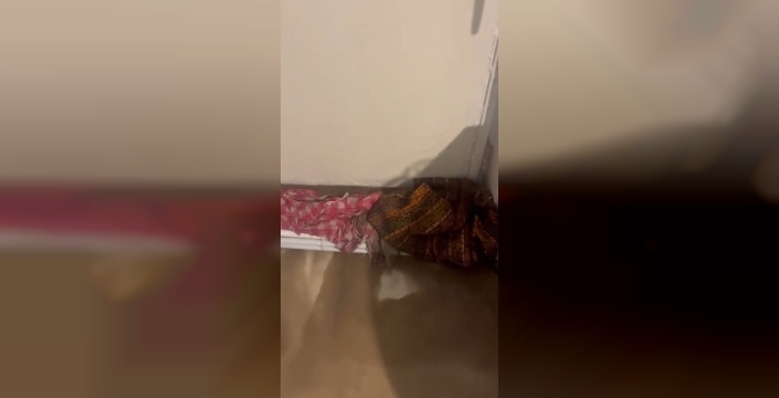 Kars'ta fırtına, çatılara ve ağaçlara zarar verdi