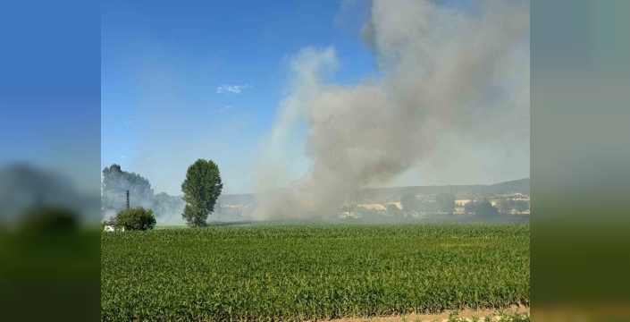 Kastamonu'da buğday tarlası alevlere teslim oldu: Çiftçinin bir yıllık emeği küle döndü