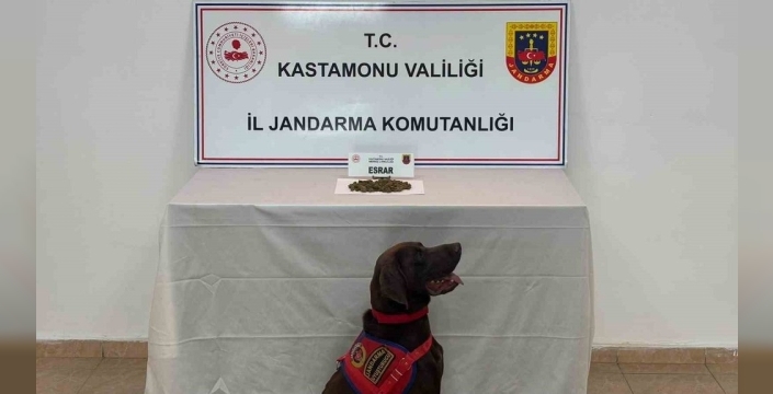 Kastamonu'da uyuşturucu operasyonu: 5 gözaltı ve büyük miktarda malzeme ele geçirildi