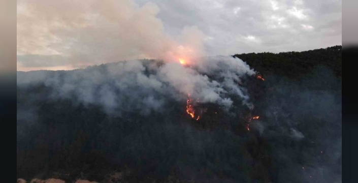 Kastamonu'daki orman yangınına havadan müdahale