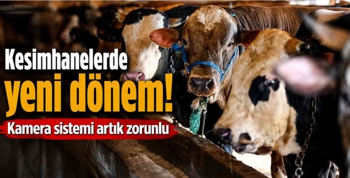 Kesimhanelerde yeni dönem! Kamera sistemi artık zorunlu