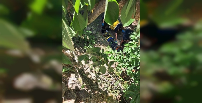 Kiraz toplarken ağaçtan düşen adam kanala savruldu, yaralı kurtarıldı