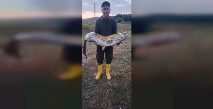 Kırklareli'de dev yayın balığı oltaya takıldı: 35 kilo ağırlığında