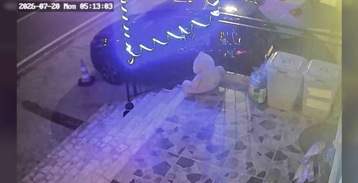 Kocaeli'de ilginç hırsızlık: Petshop önündeki mama kutusu çalındı