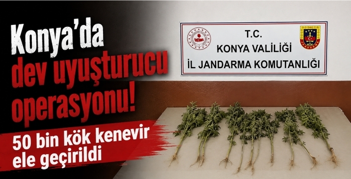 Konya'da dev uyuşturucu operasyonu! 50 bin kök kenevir ele geçirildi
