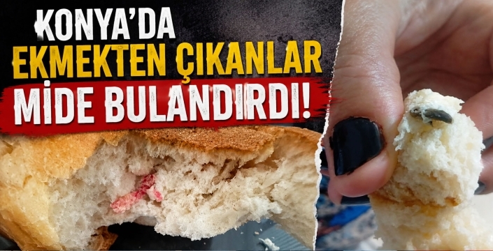 Konya’da ekmekten çıkanlar mide bulandırdı!
