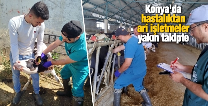 Konya'da hastalıktan ari işletmeler yakın takipte
