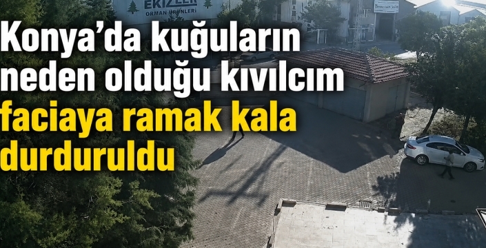 Konya'da kuğuların neden olduğu kıvılcım faciaya ramak kala durduruldu