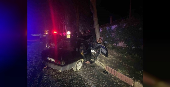 Köpeğe çarpmamak için ağaca çarpan sürücünün acı sonu