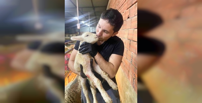 Koyun sürüsü ve dans pisti: Can Fırat Taşkıran'ın ilham veren hikayesi