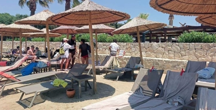 Kuşadası ve Didim kıyılarında caretta caretta hareketliliği artıyor
