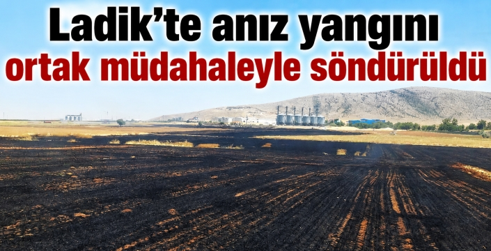 Ladik'te anız yangını ortak müdahaleyle söndürüldü