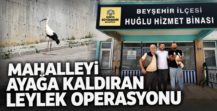Mahalleyi ayağa kaldıran leylek operasyonu