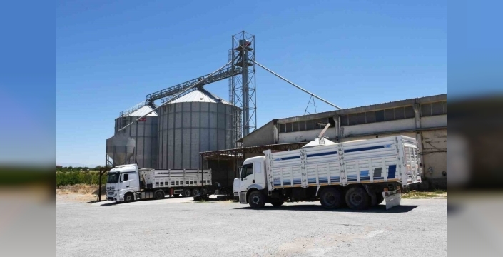 Malatya'da buğday ve arpa alımları hız kesmeden devam ediyor