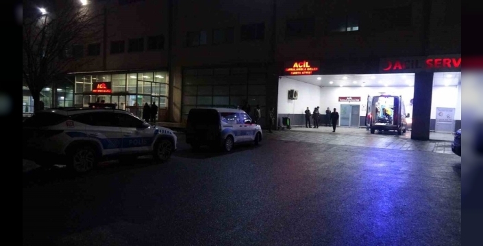 Malatya'da dut ağacı nedeniyle yaşanan kavgada 2 kişi tutuklandı