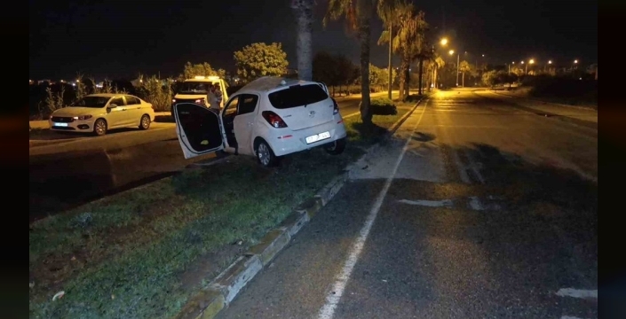 Manavgat'ta palmiyeye çarpan otomobilin sürücüsü yaralandı