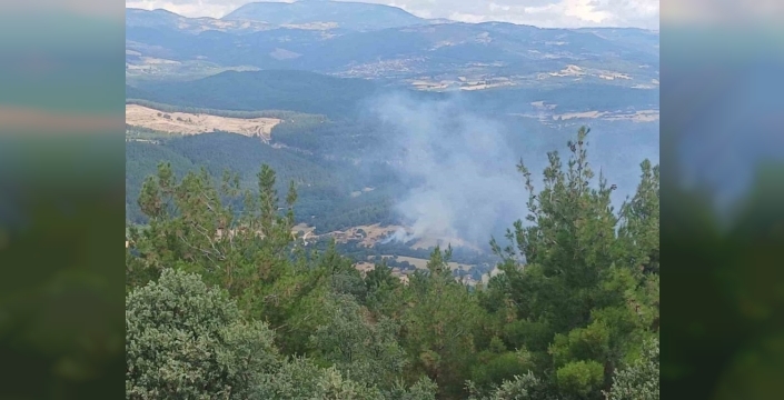 Manisa'da dehşet anları: Ahırdan ormana sıçrayan alevler büyümeden söndürüldü!