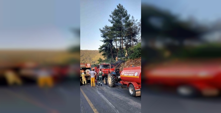 Menteşe'de orman yangını hızla kontrol altına alındı