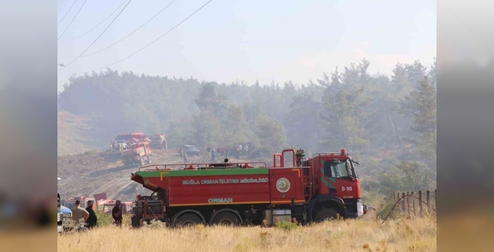 Menteşe'deki yangın sonrası ateş savaşçılarının soğutma çalışmaları devam ediyor