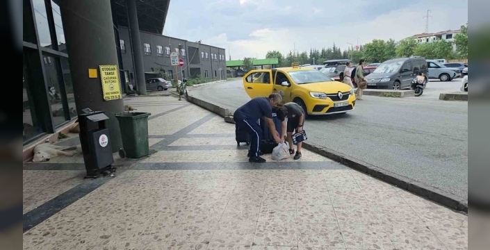 Metro Turizm'den şok fiyat indirimi: İstanbul-Edirne bileti 500 TL'ye düştü!