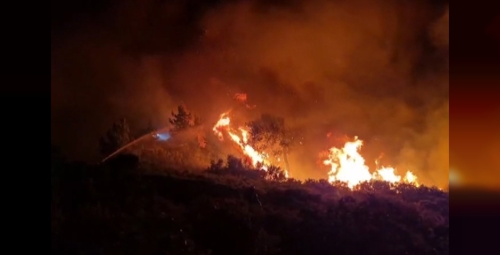 Milas'ta orman yangını geceyi aydınlattı, müdahale sürüyor
