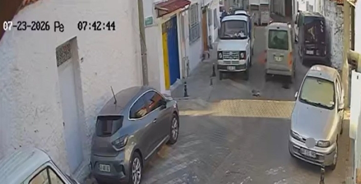 Muğla'da bir sürücü, iki sokak kedisini ezerek kaçtı