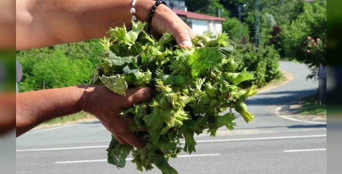 Ordu'da taze fındık sürprizi: Kilosu 200 TL'ye tezgahlarda!