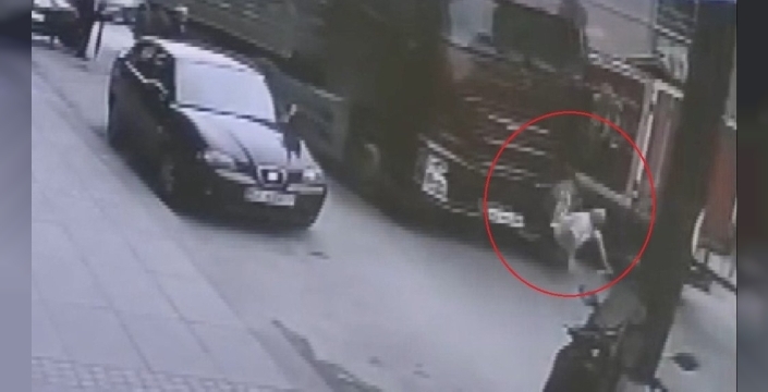 Ordu'da tırın çarptığı yaya hastaneye kaldırıldı