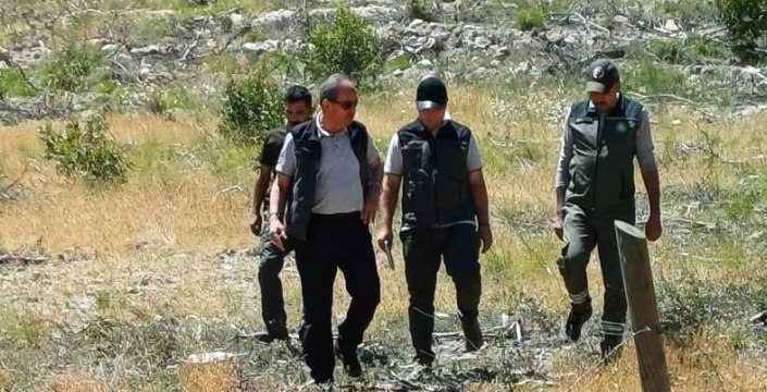 Orman Bölge Müdürü Yalçın, denetime çıktı