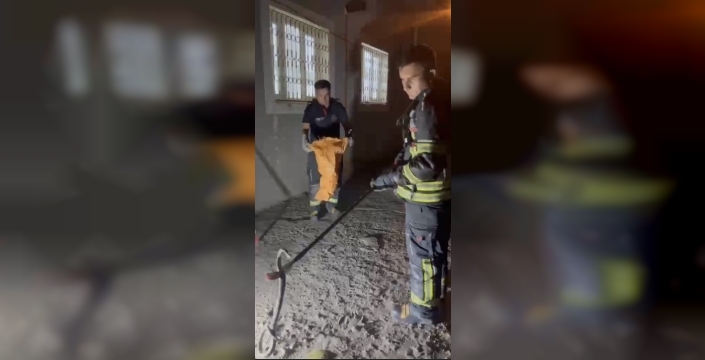 Osmaniye'de zehirli engerek yılanı evden çıkarıldı