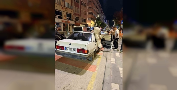 Peluş ayı, ehliyetsiz sürücüyü yakalattı