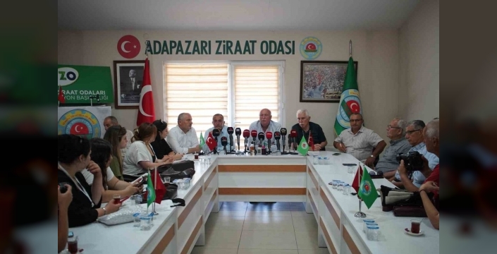Sakarya'da fındık işçilerinin 2026 yevmiyesi netleşti: İşte yeni rakamlar!