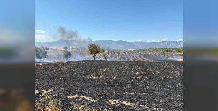 Samsun'da biçerdöver yangını, 150 dönüm ekili alanı kül etti