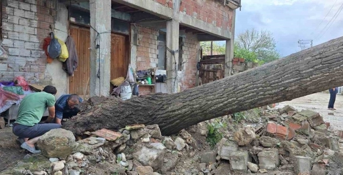 Samsun’da gökyüzü öfkelendi: Dolu ve sağanak tarım arazilerini vurdu, çatılar uçtu