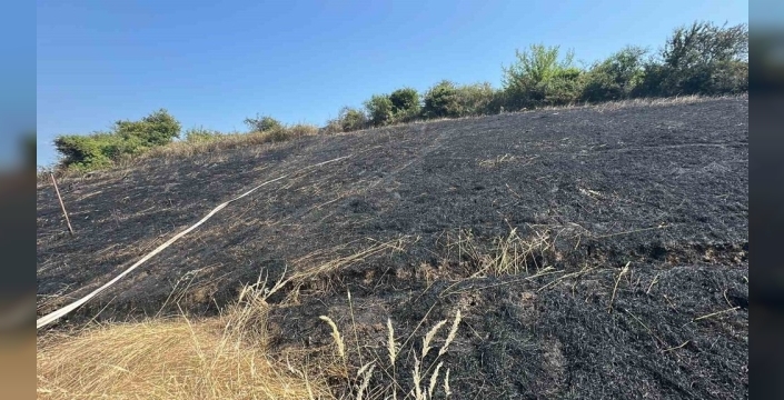 Samsun'da korkutan otluk alan yangını: 10 dönüm küle döndü