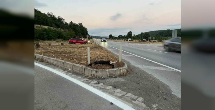 Samsun'da motosiklet kazası: Yaralılar hastanede