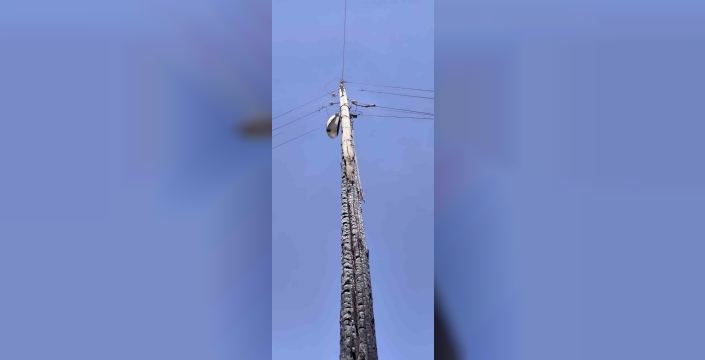 Şanlıurfa'da anız yangınları enerji altyapısını tehdit ediyor