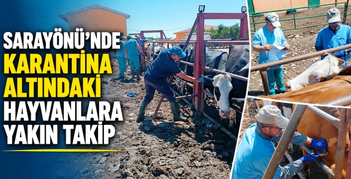 Sarayönü'nde hayvan sağlığı için karantina denetimleri sürüyor