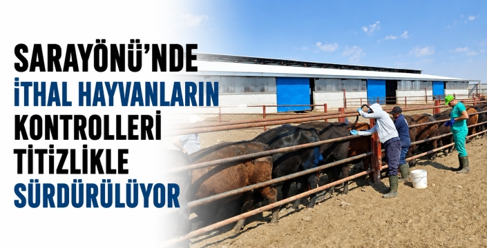 Sarayönü'nde ithal hayvanların kontrolleri titizlikle sürdürülüyor