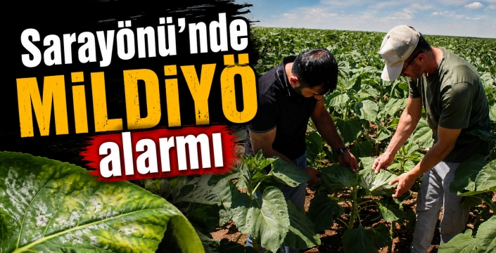 Sarayönü’nde MİLDİYÖ alarmı: Merkez ve Ladik’te hastalık yayılıyor