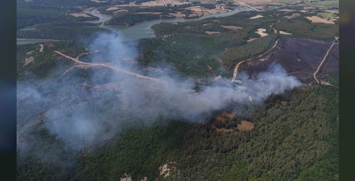 Şarköy'deki yangın dron ile havadan görüntülendi