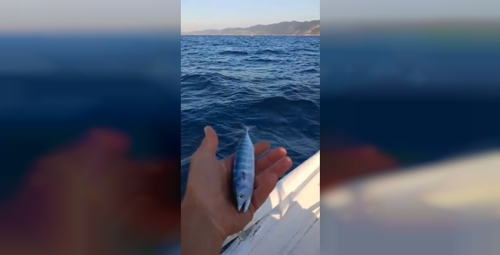 Sezonun ilk vonozu Ayancık'ta denize döndü, balıkçılar bolluk bekliyor