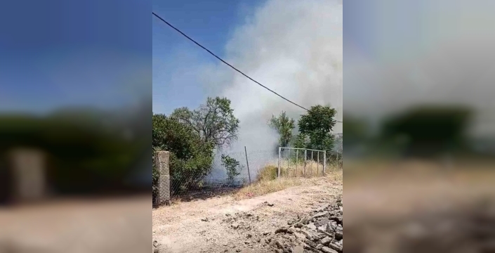 Siirt'te bahçede çıkan yangın: Meyve ağaçları küle döndü, faciadan dönüldü
