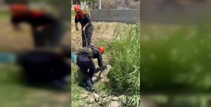 Siirt'te inanılmaz kurtarma operasyonu: Bir can dostumuz kuyudan sağ salim çıktı!