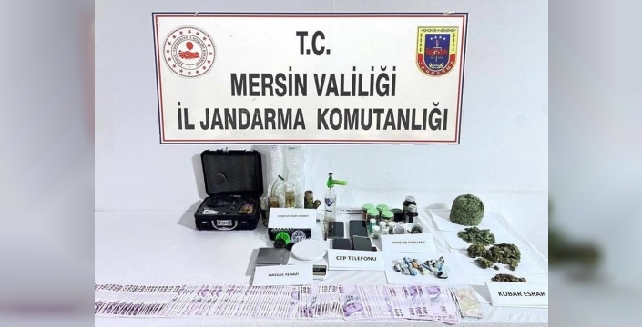 Silifke'de uyuşturucu operasyonu: 2 tutuklama, devasa esrar ve para ele geçirildi