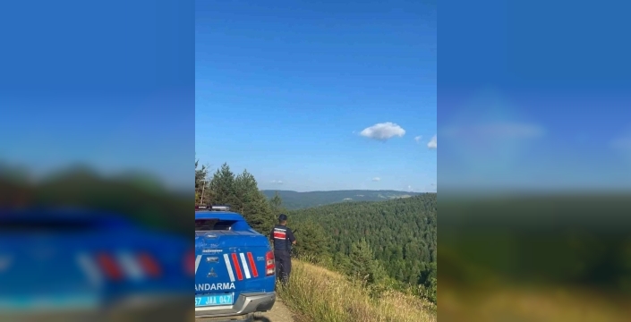 Sinop ormanları yangın alarmında: Jandarma teyakkuzda